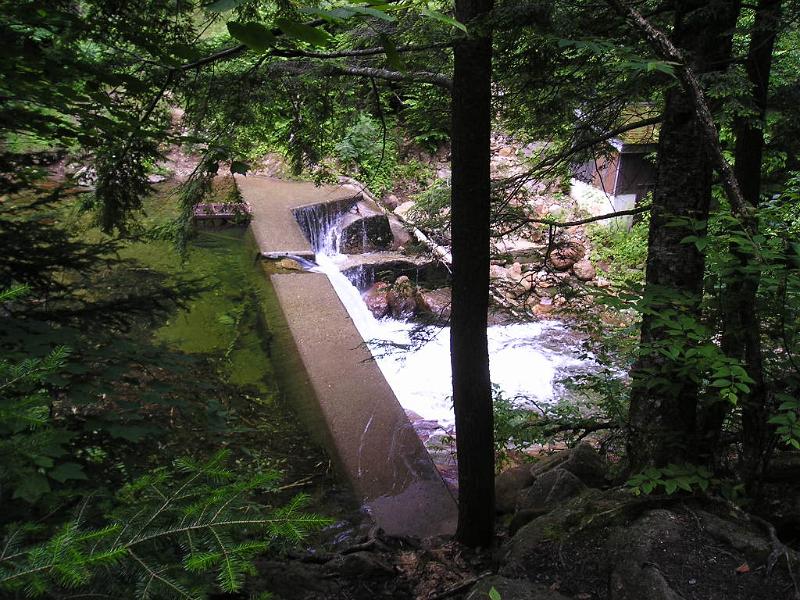 CarterDome (1).JPG - About 1/4 of the way up the 19 mile brook trail we found a dam slowing the flow of the stream.